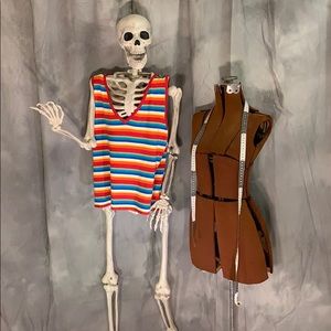 Sydney Easton Rainbow Sweater Vest